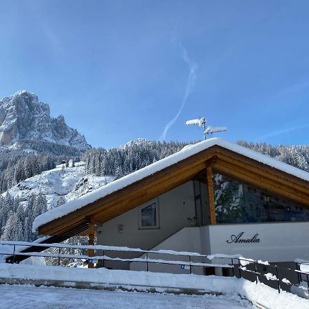 Amalia Apartment Santa Cristina Val Gardena المظهر الخارجي الصورة